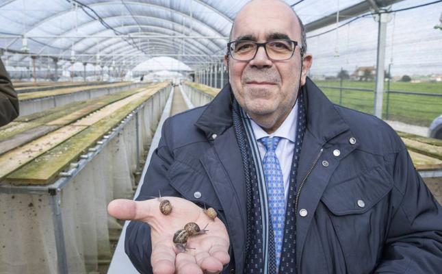  Una granja de Loredo producirá cada mes y medio 60 toneladas de caracoles para alimentación y cosmética