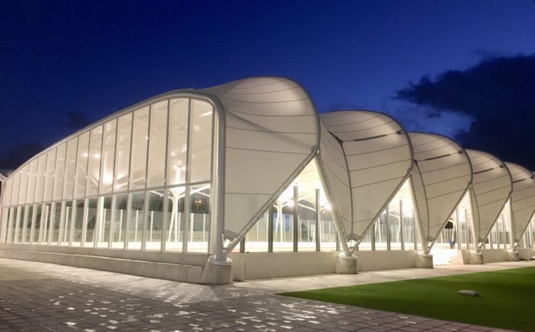 Pistas Deportivas UEA